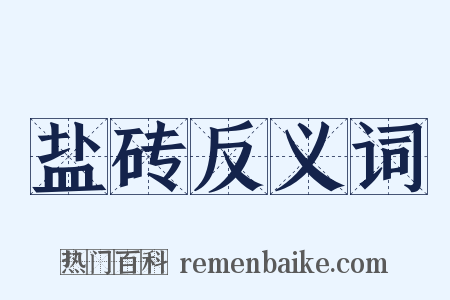 盐砖反义词是什么意思的图片